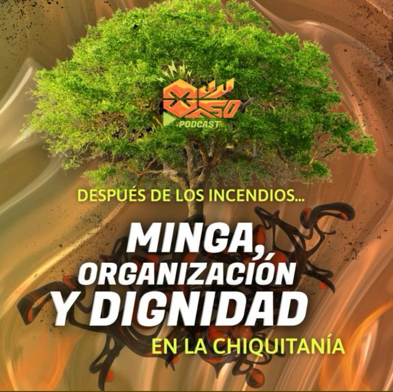 Después de los incendios de la Chiquitania